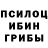 Псилоцибиновые грибы MAGIC MUSHROOMS Elcan Eliyev