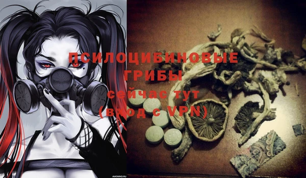 тгк Горно-Алтайск