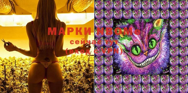 крисы Горняк