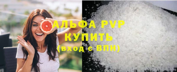 крисы Горняк