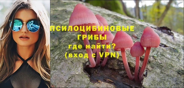 ПСИЛОЦИБИНОВЫЕ ГРИБЫ Горнозаводск