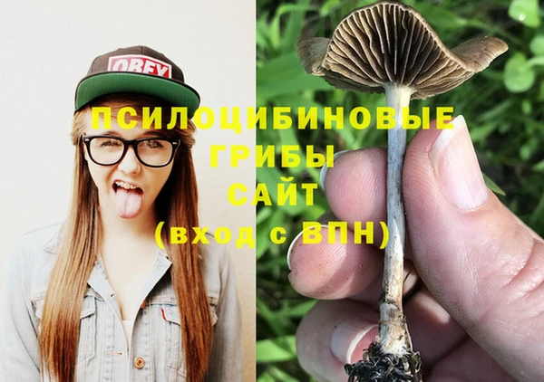 ПСИЛОЦИБИНОВЫЕ ГРИБЫ Горнозаводск