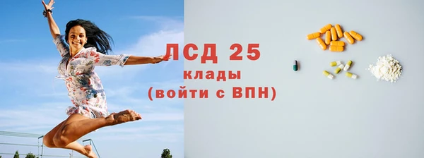 ПСИЛОЦИБИНОВЫЕ ГРИБЫ Горнозаводск