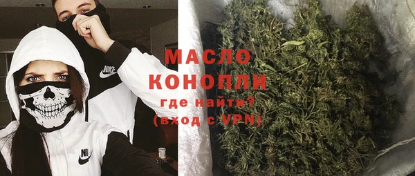 крисы Горняк