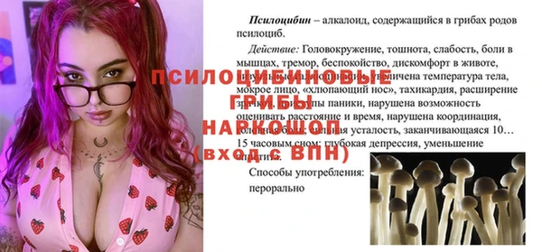 тгк Горно-Алтайск