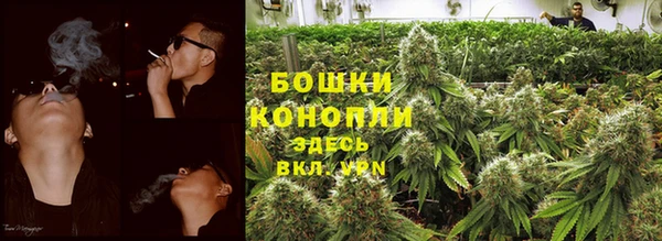 тгк Горно-Алтайск