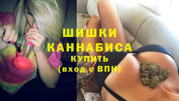 сатива Гусь-Хрустальный
