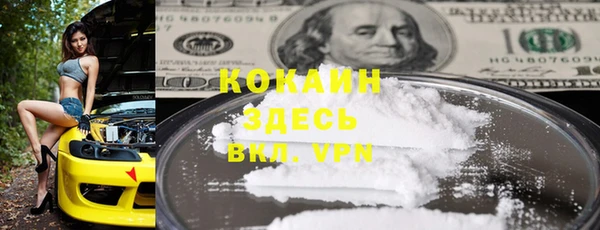 крисы Горняк